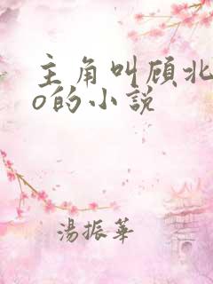 主角叫顾北弦苏o的小说