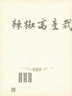 辣椒高产栽培