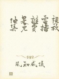 他是谁电视剧全集免费播放