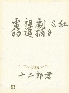 电视剧《红岩下的追捕》