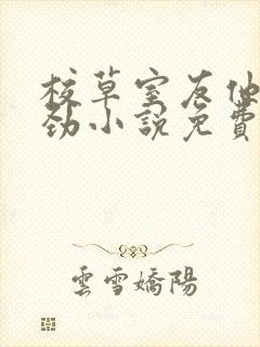 校草室友他不对劲小说免费