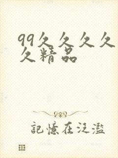 99久久久久久久精品