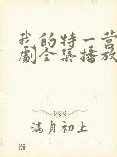 我的特一营电视剧全集播放
