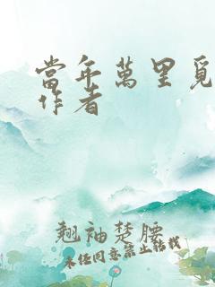 当年万里觅封侯作者