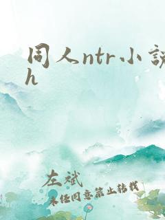 同人ntr小说h