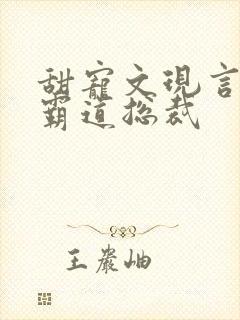 甜宠文现言推荐霸道总裁