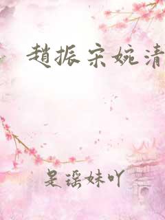 赵振宋婉清小说