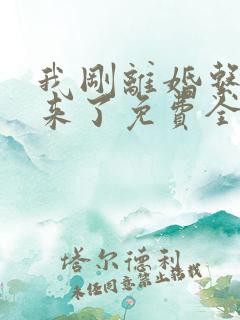 我刚离婚系统就来了免费全集