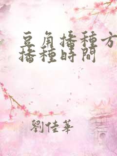 豆角播种方法及播种时间