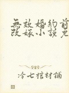 无效婚约前妻要改嫁小说免费阅读
