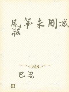 风筝未删减送审版
