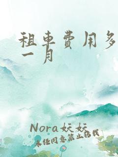 租车费用多少钱一月