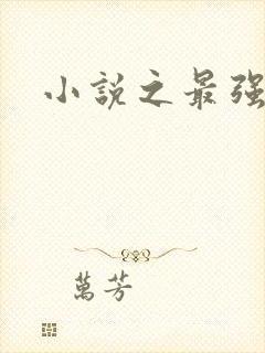 小说之最强霸主