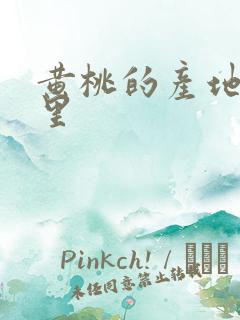 黄桃的产地是哪里