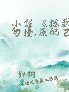 小说 《总裁请勿扰,原配己重生》