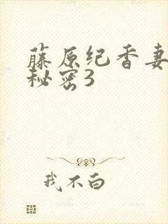 藤原纪香妻子的秘密3