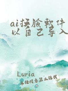 ai换脸软件可以自己导入视频