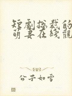 短剧总裁的偏宠萌妻在线观看