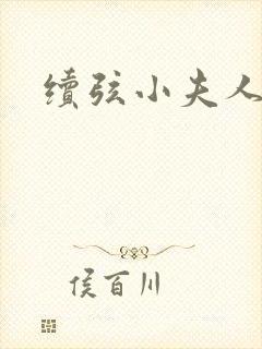 续弦小夫人全文