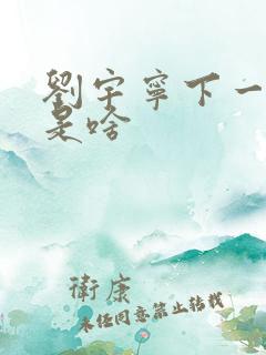 刘宇宁下一部剧是啥