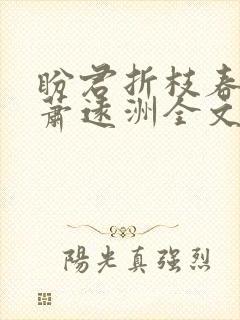 盼君折枝春满归萧远洲全文阅读 盼君折枝春满归萧远洲全文阅读