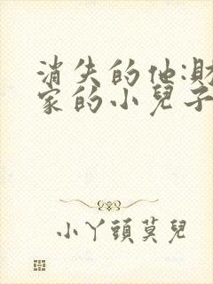 消失的他:财阀家的小儿子
