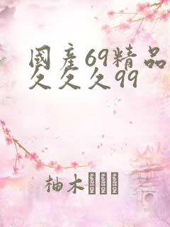 国产69精品久久久久99