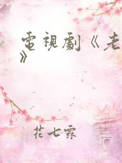 电视剧《老农民》 电视剧《老农民》
