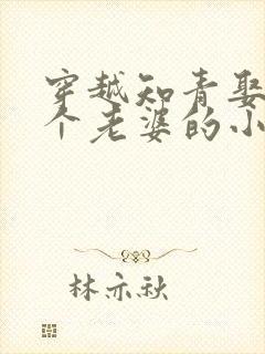 穿越知青娶了三个老婆的小说