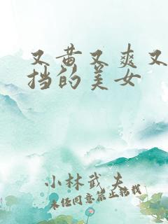 又黄又爽又无遮挡的美女