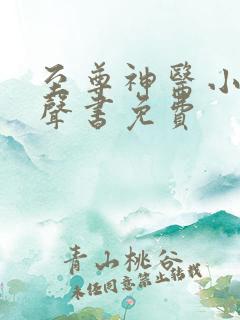 至尊神医小说有声书免费