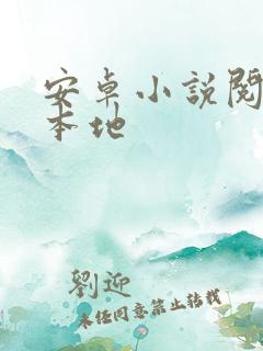 安卓小说阅读器本地