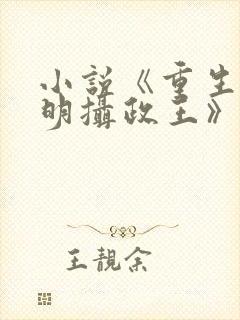 小说《重生之大明摄政王》 小说《重生之大明摄政王》