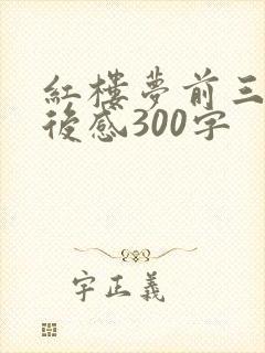 红楼梦前三回读后感300字