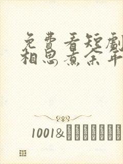 免费看短剧何苦相思煮余年