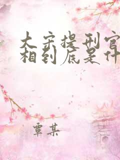 大宋提刑官2真相到底是什么