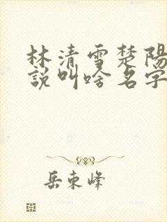林清雪楚阳的小说叫啥名字