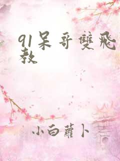 91呆哥双飞调教