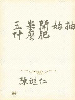 玉米开始抽穗施什么肥