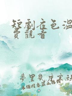 短剧夜色温柔免费观看