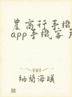 农商行手机银行app手机客户端