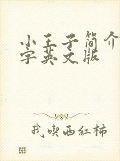 小王子简介50字英文版