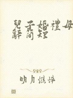 儿子婚礼母亲致辞简短 儿子婚礼母亲致辞简短