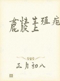 女性生殖疱长在屁股上