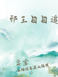 邪王日日追妻忙