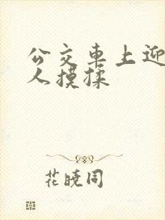 公交车上迎合别人摸揉