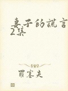 妻子的谎言第12集