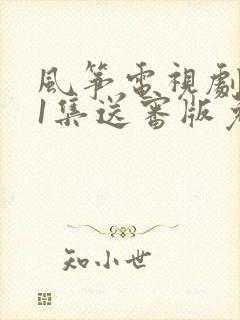 风筝电视剧全51集送审版免费观看