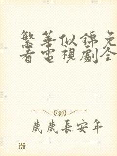 繁华似锦免费观看电视剧全集高清