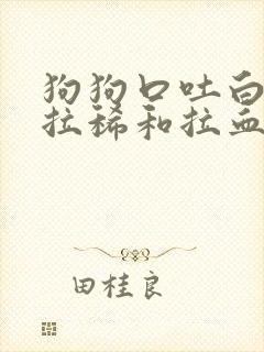 狗狗口吐白沫,拉稀和拉血,怎么回事